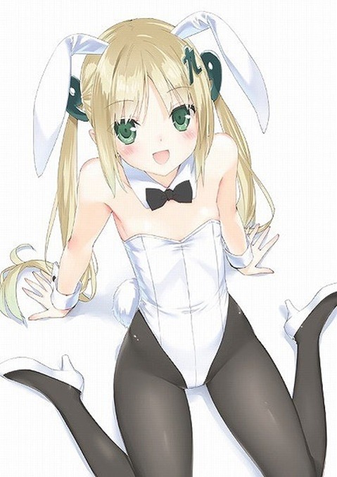うさ耳が可愛い女の子の二次エロ画像③　100枚 81