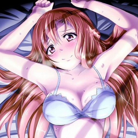 【ソードアート・オンライン】結城明日奈の二次エロ画像①　50枚 21
