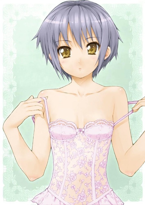 【涼宮ハルヒの憂鬱】長門有希の二次エロ画像　50枚 33