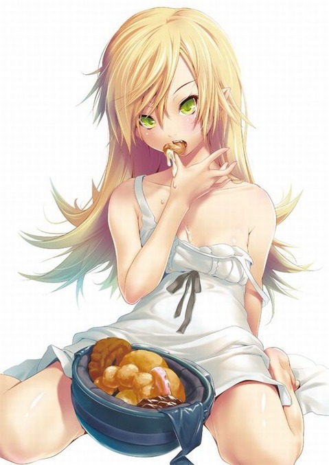 【化物語】忍野忍の二次エロ画像①　100枚 37