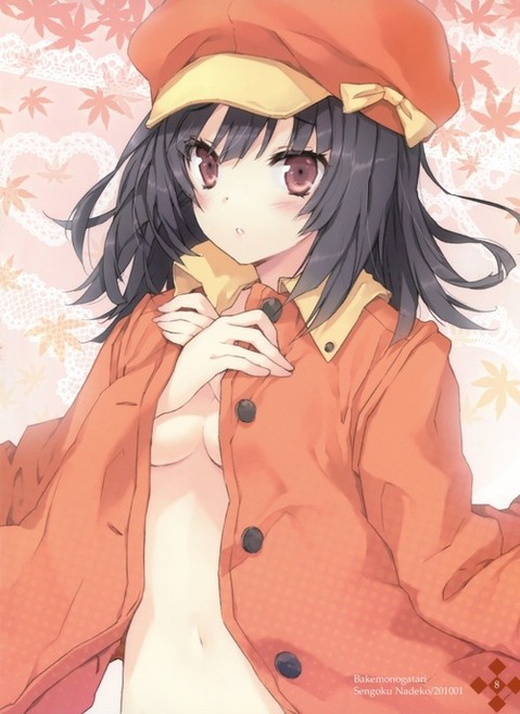 【化物語】千石撫子の二次エロ画像②　100枚 65