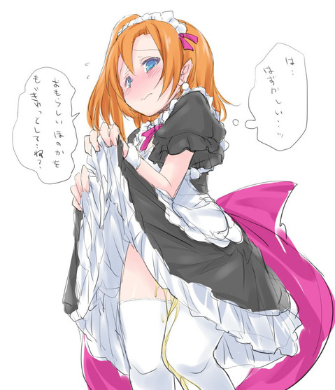 【ラブライブ！】高坂 穂乃果の二次エロ画像②　50枚 20