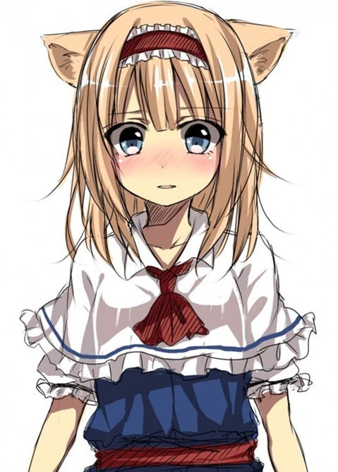 猫耳が可愛い女の子の二次エロ画像②　100枚 63