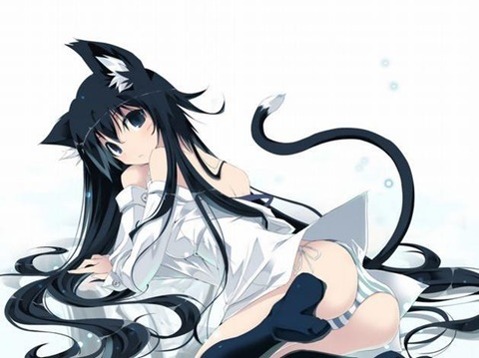 猫耳が可愛い女の子の二次エロ画像④　100枚 6