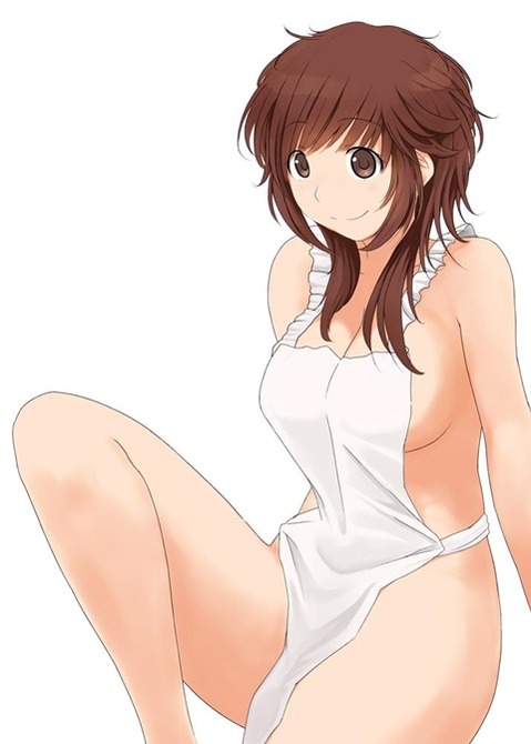 裸エプロンがエロくて仕方ない二次エロ画像⑮　25枚 12