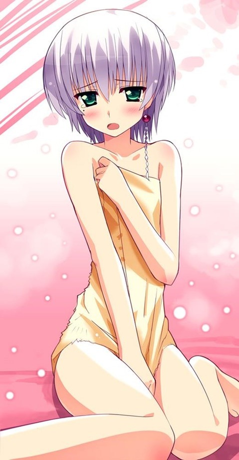 貧乳・微乳・ちっぱいな女の子の二次エロ画像⑭　25枚 20