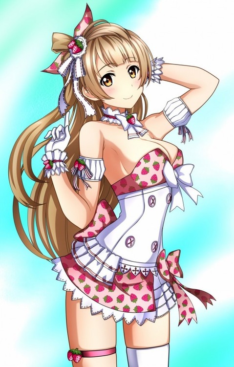 【ラブライブ!】南ことりの二次エロ画像　100枚 79