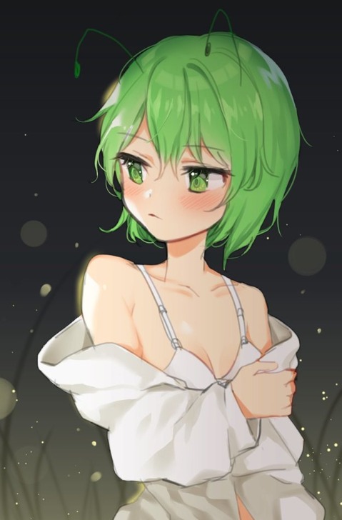【東方】リグル・ナイトバグの二次エロ画像②　100枚【東方Project】 95