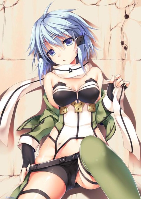 【SAO】シノン(朝田詩乃)のエロ画像　100枚【ソードアート・オンライン】 91