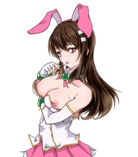 うさ耳が可愛い女の子の二次エロ画像①　100枚 87