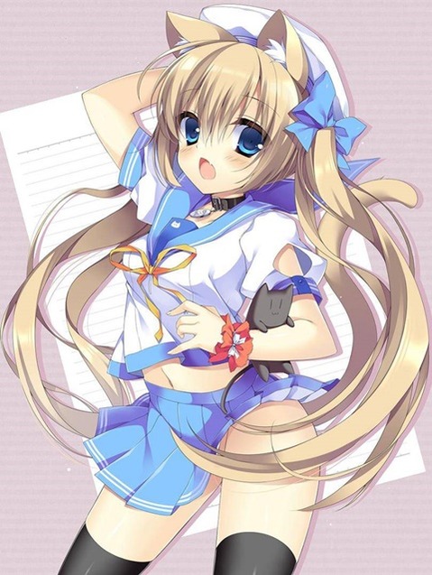 猫耳が可愛い女の子の二次エロ画像⑤　100枚 91