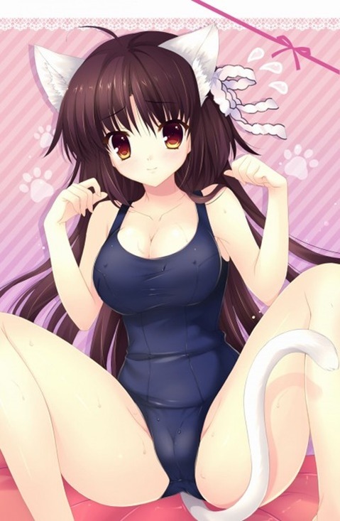 猫耳が可愛い女の子の二次エロ画像①　100枚 44