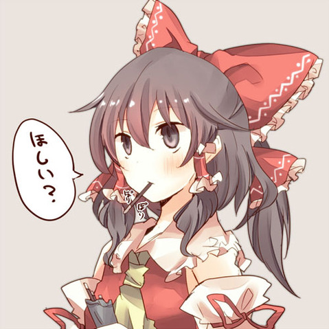 【東方】博麗霊夢の二次エロ画像②　100枚【東方Project】 11