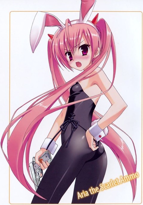 うさ耳が可愛い女の子の二次エロ画像③　100枚 36