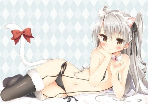 猫耳が可愛い女の子の二次エロ画像②　100枚 52