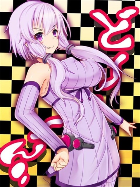 【ボイスロイド】結月ゆかりの二次エロ画像③　25枚【VOICEROID】 13