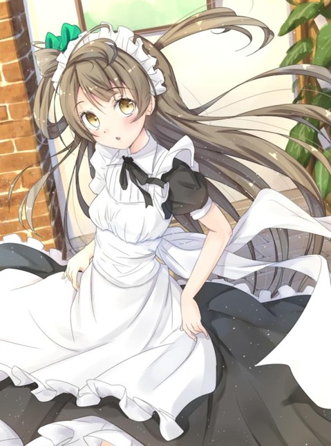 【ラブライブ!】南ことりの二次エロ画像　100枚 84