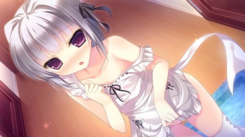 裸エプロンがエロくて仕方ない二次エロ画像⑨　25枚 15