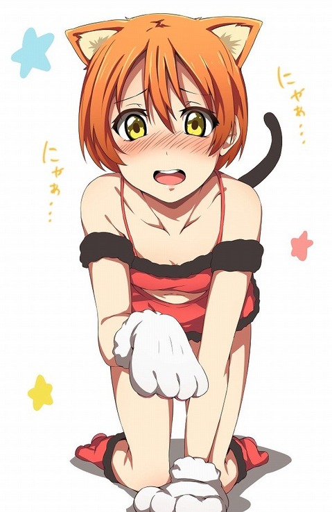 【ラブライブ!】星空凛の二次エロ画像　100枚 93