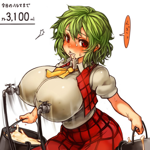 【東方】風見幽香の二次エロ画像　100枚【東方Project】 24