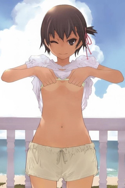 日焼け跡が色っぽい女の子の二次エロ画像③　100枚 3