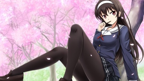 【冴えカノ】霞ヶ丘詩羽の二次エロ画像　100枚【冴えない彼女の育て方】 69