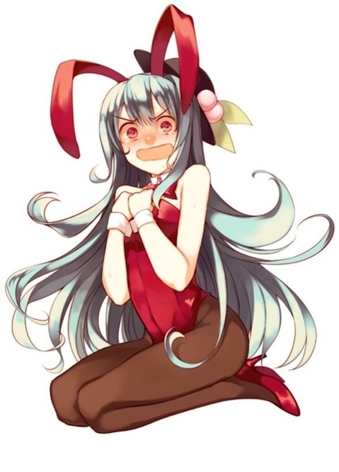 うさ耳が可愛い女の子の二次エロ画像⑤　100枚 39