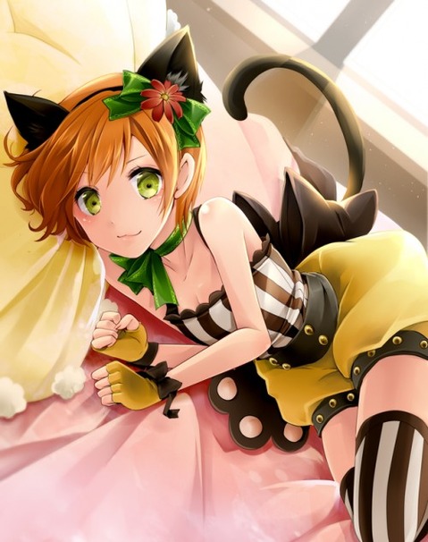 【ラブライブ!】星空凛の二次エロ画像　100枚 38