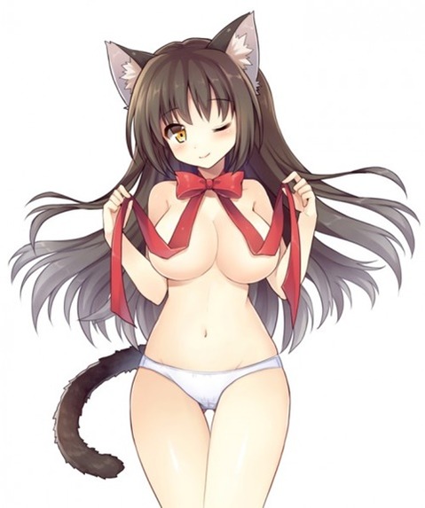 猫耳が可愛い女の子の二次エロ画像①　100枚 52