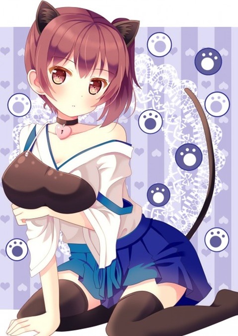 猫耳が可愛い女の子の二次エロ画像②　100枚 50