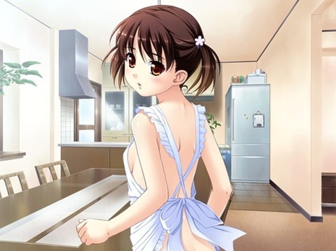裸エプロンがエロくて仕方ない二次エロ画像⑮　25枚 7