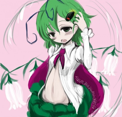 【東方】リグル・ナイトバグの二次エロ画像②　100枚【東方Project】 47