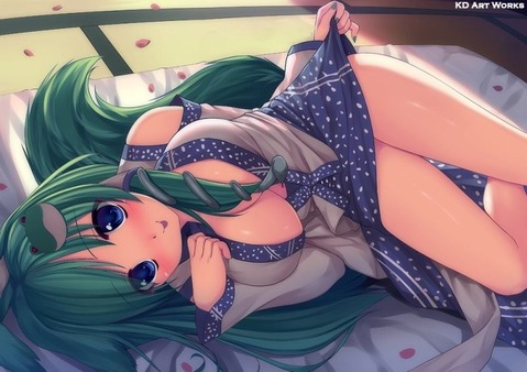 【東方】東風谷早苗のエロ画像②　100枚【東方Project】 31