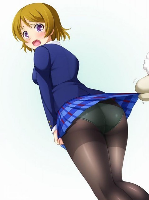 【ラブライブ!】小泉花陽の二次エロ画像　100枚 19