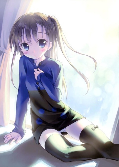 ニーソ・ニーハイを履いた女の子の二次エロ画像②　100枚 67
