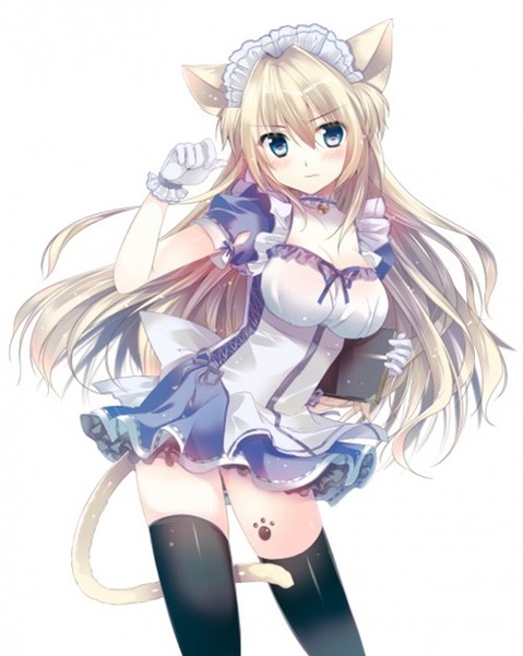猫耳が可愛い女の子の二次エロ画像①　100枚 56