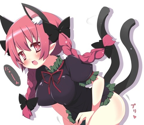 【東方】火焔猫 燐のエロ画像②50枚【東方Project】 14