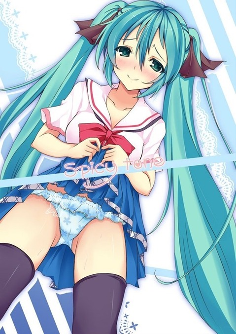 【VOCALOID】初音ミクの二次エロ画像　100枚【ボーカロイド】 2