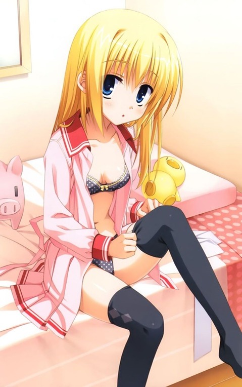 ニーソ・ニーハイを履いた女の子の二次エロ画像⑥　100枚 72