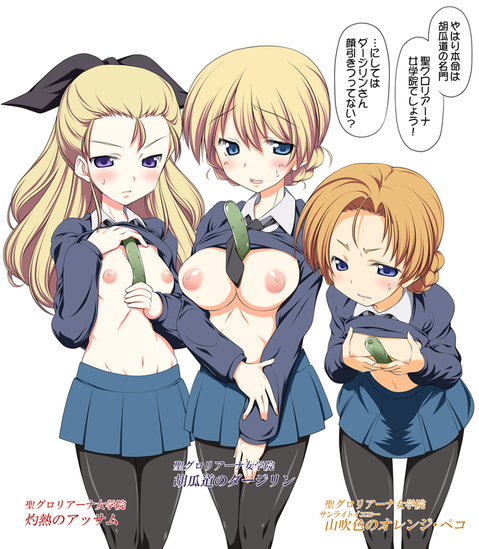 【ガルパン】ダージリンの二次エロ画像　100枚【ガールズ＆パンツァー】 39
