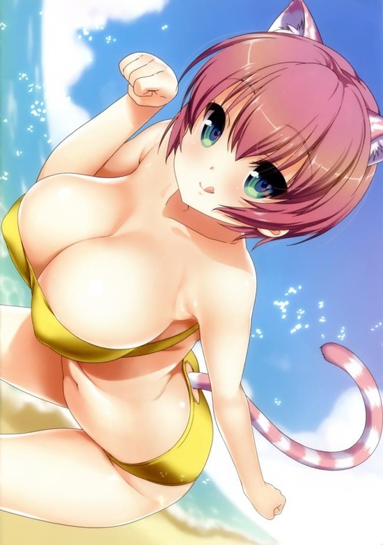 【非エロ】ロリなのに巨乳キャラな女の子のビキニや競泳水着画像がみたい！ 18