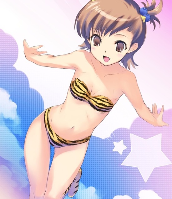 【二次エロ】虎柄のビキニを着ている可愛い女の子たちのエロ画像がみたい！① 16