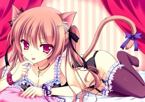 猫耳が可愛い女の子の二次エロ画像②　100枚 55