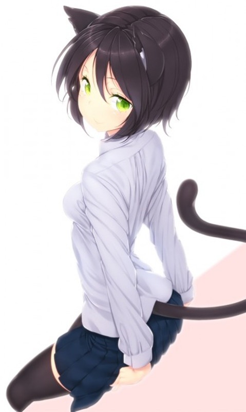 猫耳が可愛い女の子の二次エロ画像④　100枚 53