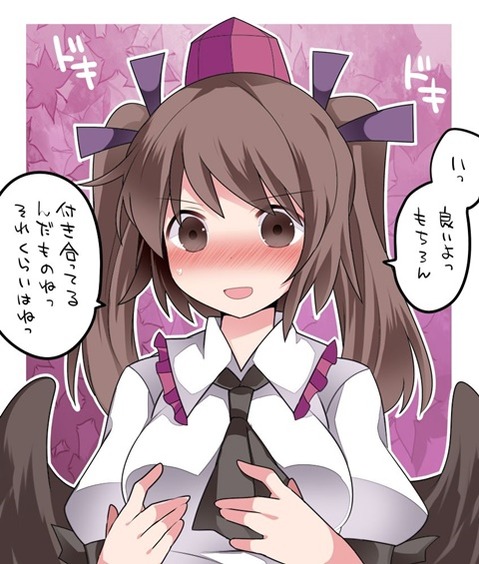 【東方】姫海棠はたての二次エロ画③　100枚【東方Project】