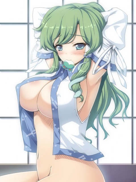 【東方】東風谷早苗のエロ画像②　100枚【東方Project】 20