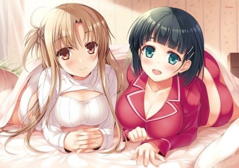 【SAO】桐ヶ谷直葉のエロ画像 100枚【ソードアート・オンライン】