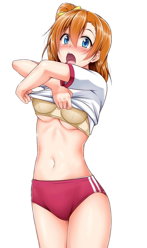 【ラブライブ！】高坂 穂乃果の二次エロ画像　50枚 6