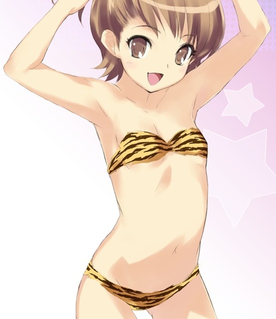 【二次エロ】虎柄のビキニを着ている可愛い女の子たちのエロ画像がみたい！① 13