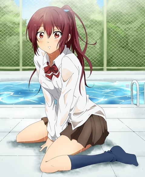 ポニーテールが可愛い女の子の二次エロ画像⑧　25枚 10